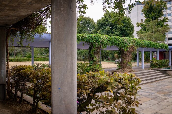 Gartenjuwel der Nachkriegszeit in der Oberstadt | Foto: SI MZ-Rosengarten/Annette Müller